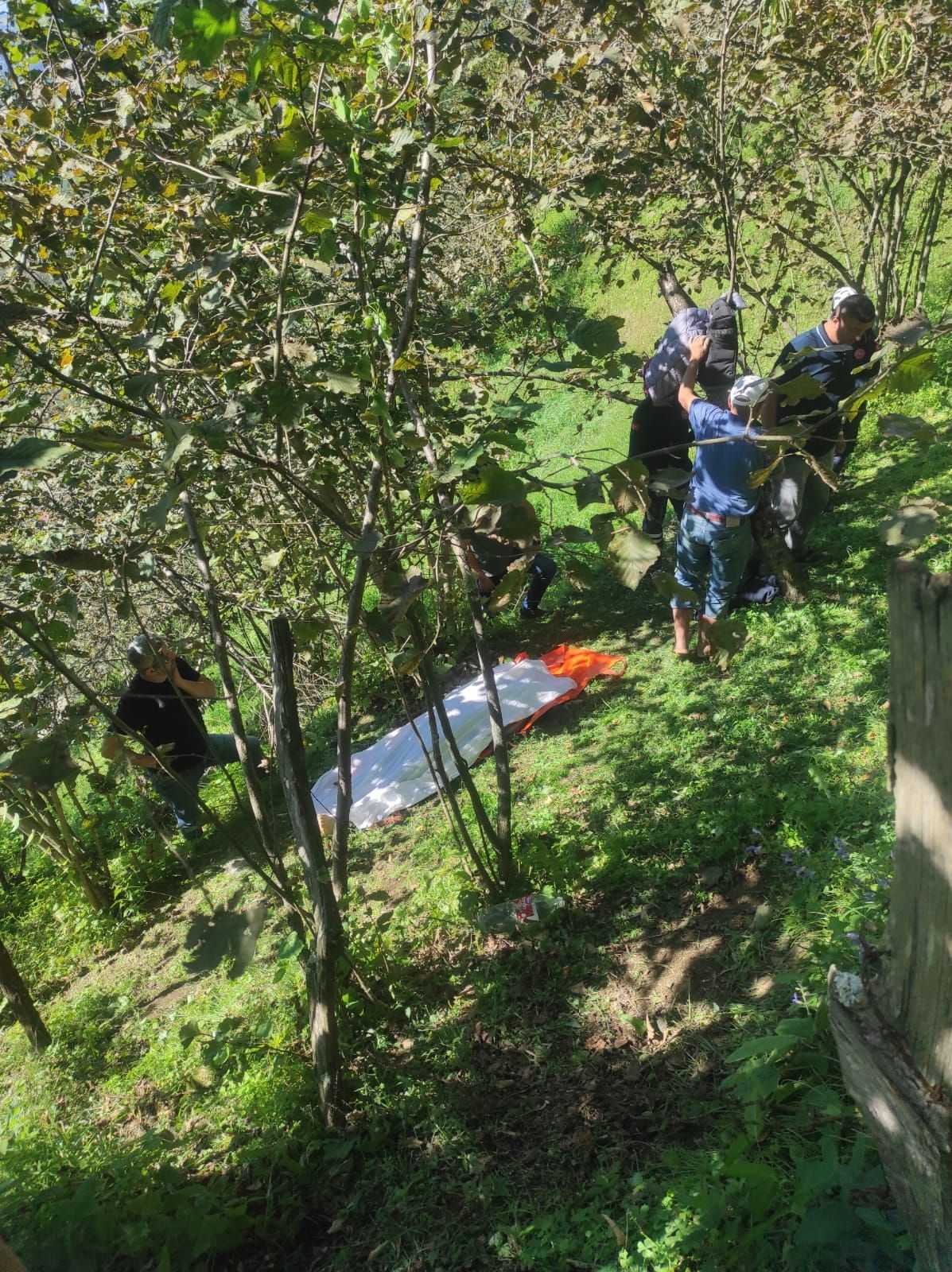 DEMİRTAŞ'TA AĞAÇTAN DÜŞTÜ, YARALANDI