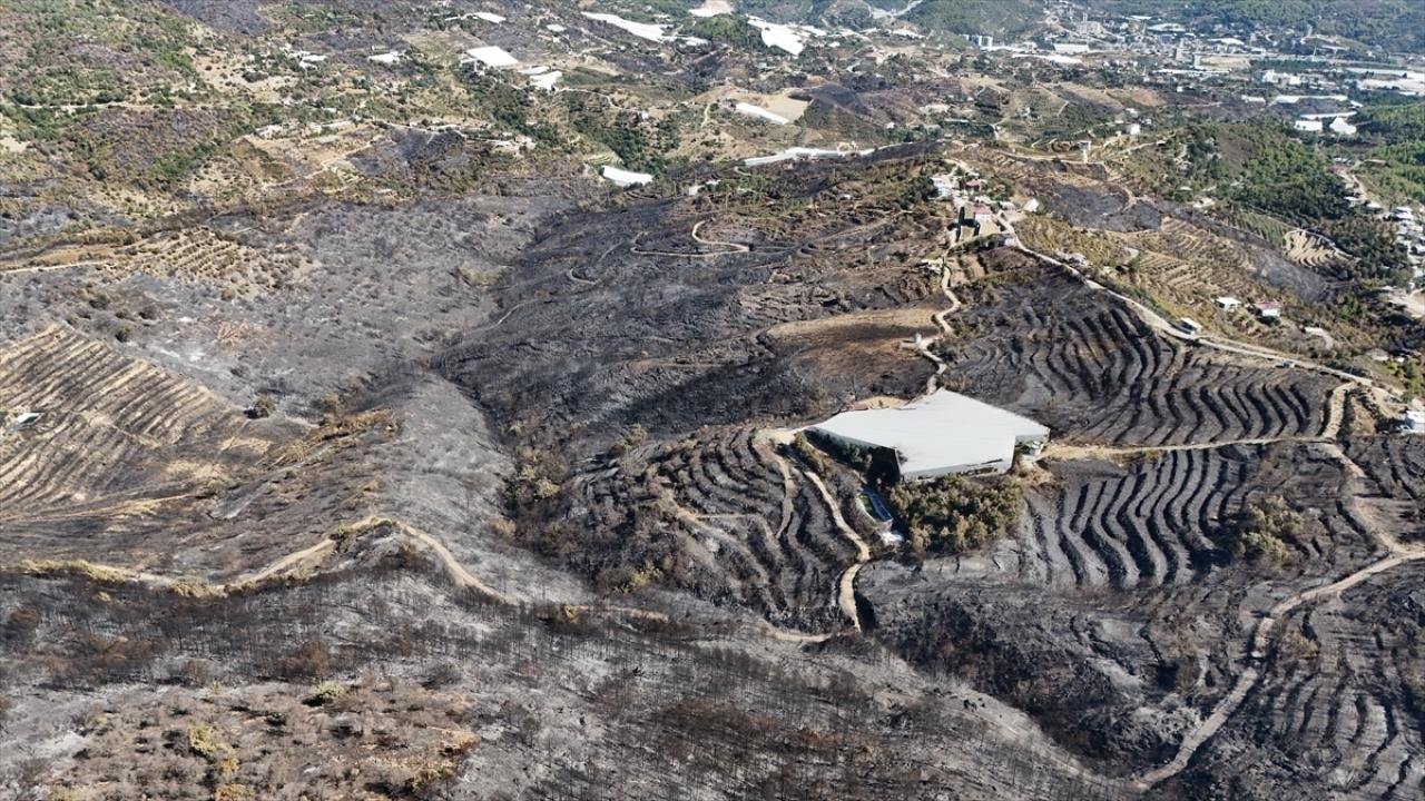 ALANYA'DA 1200 HEKTARLIK ALAN YEŞİLLENECEK