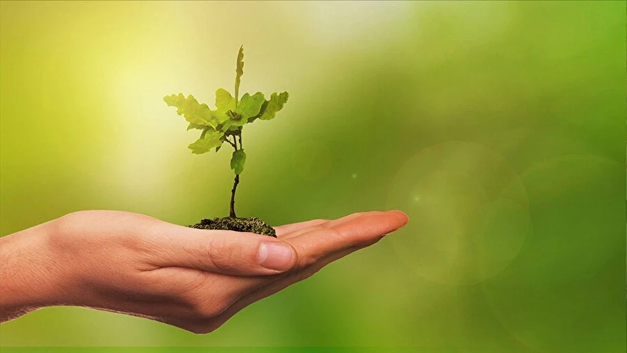 FİDANLAR TOPRAKLA BULUŞACAK