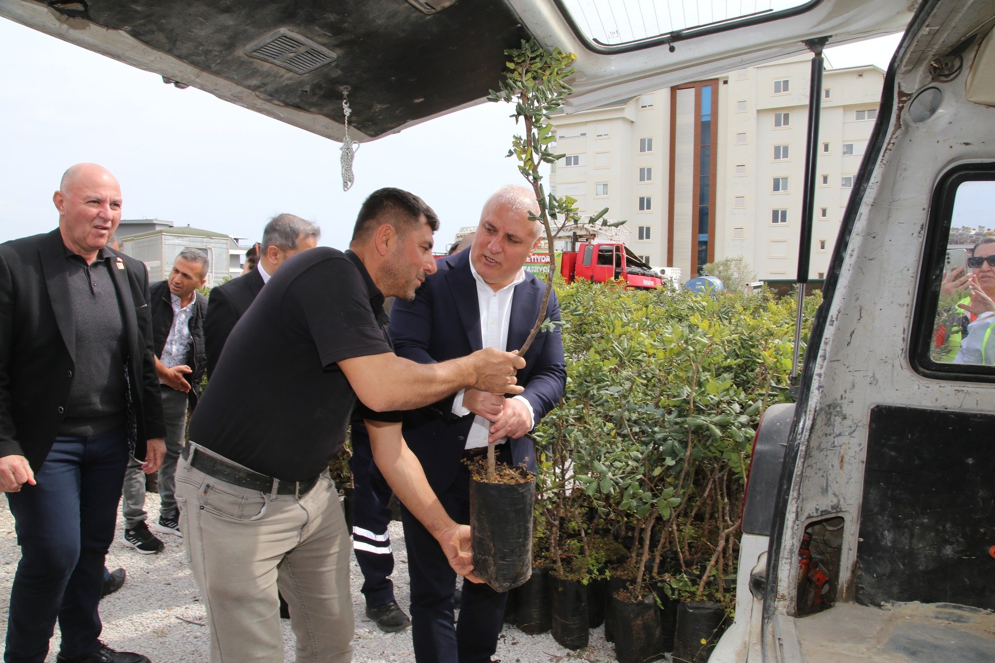 ÜRETİCİLERE KEÇİBOYNUZU FİDANI DAĞITILDI
