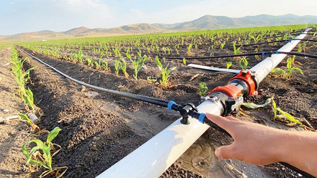 TAVLI SÖZ VERİYOR DSİ YAPMIYOR