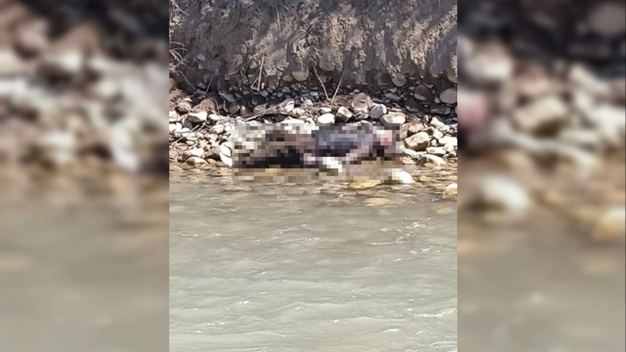 Emekli akademisyen dere yatağında ölü bulundu