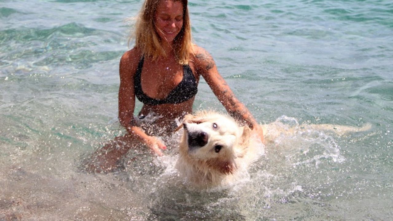 Rus turist, 9 bin kilometrelik yoldan getirdiği köpeğiyle Antalya'da deniz keyfi yaptı