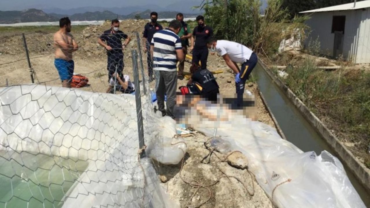 Yüzmek için girdiği muz serasının havuzunda boğuldu