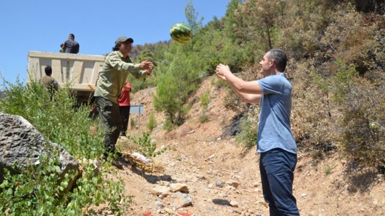 Gündoğmuş'ta yaban hayvanları için 10 ton karpuz bırakıldı