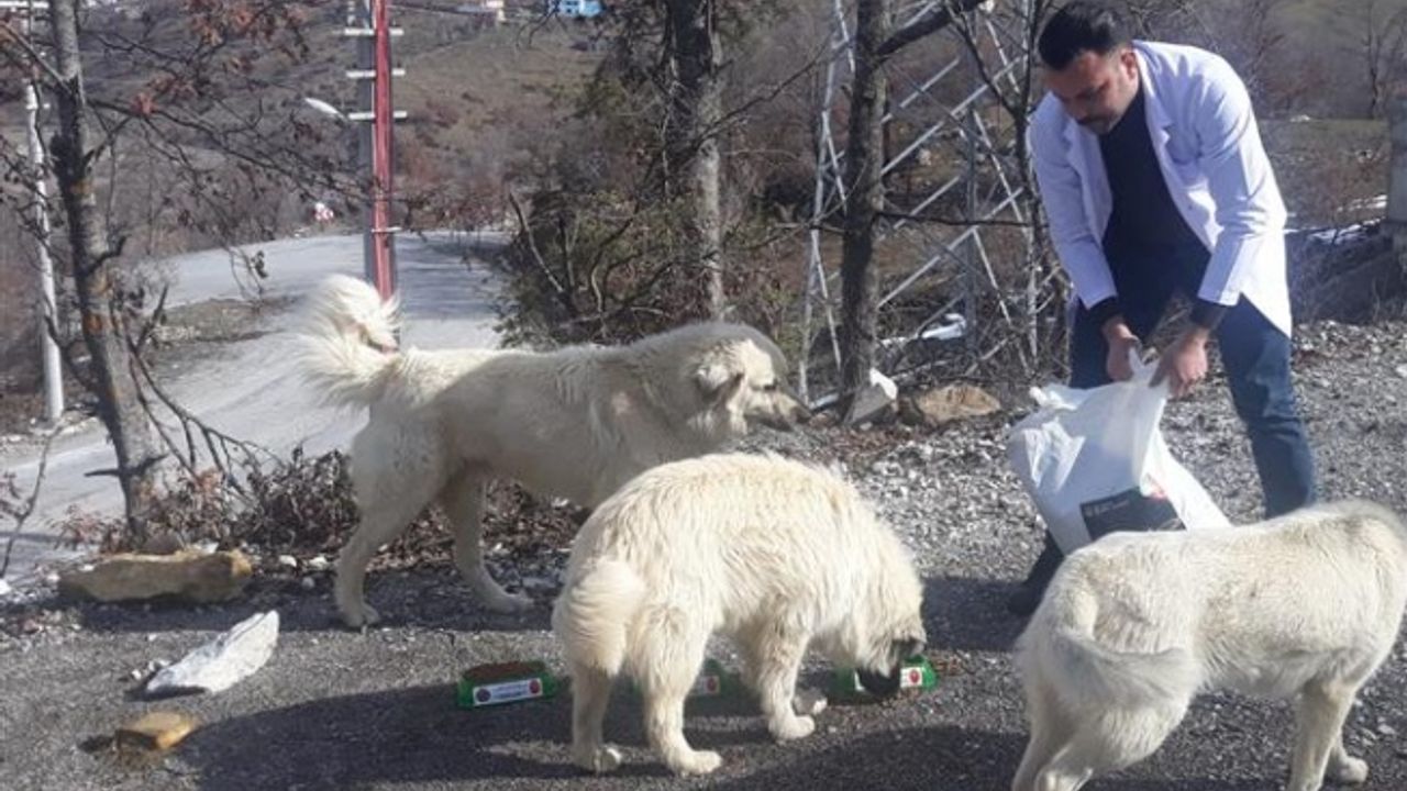 ALANYA BELEDİYESİ CAN DOSTLARA YARDIM ELİNİ UZATMAYA DEVAM EDİYOR