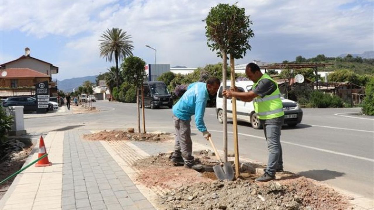 ALANYA BELEDİYESİ DAHA YEŞİL BİR ALANYA İÇİN ÇALIŞMALARINA DEVAM EDİYOR