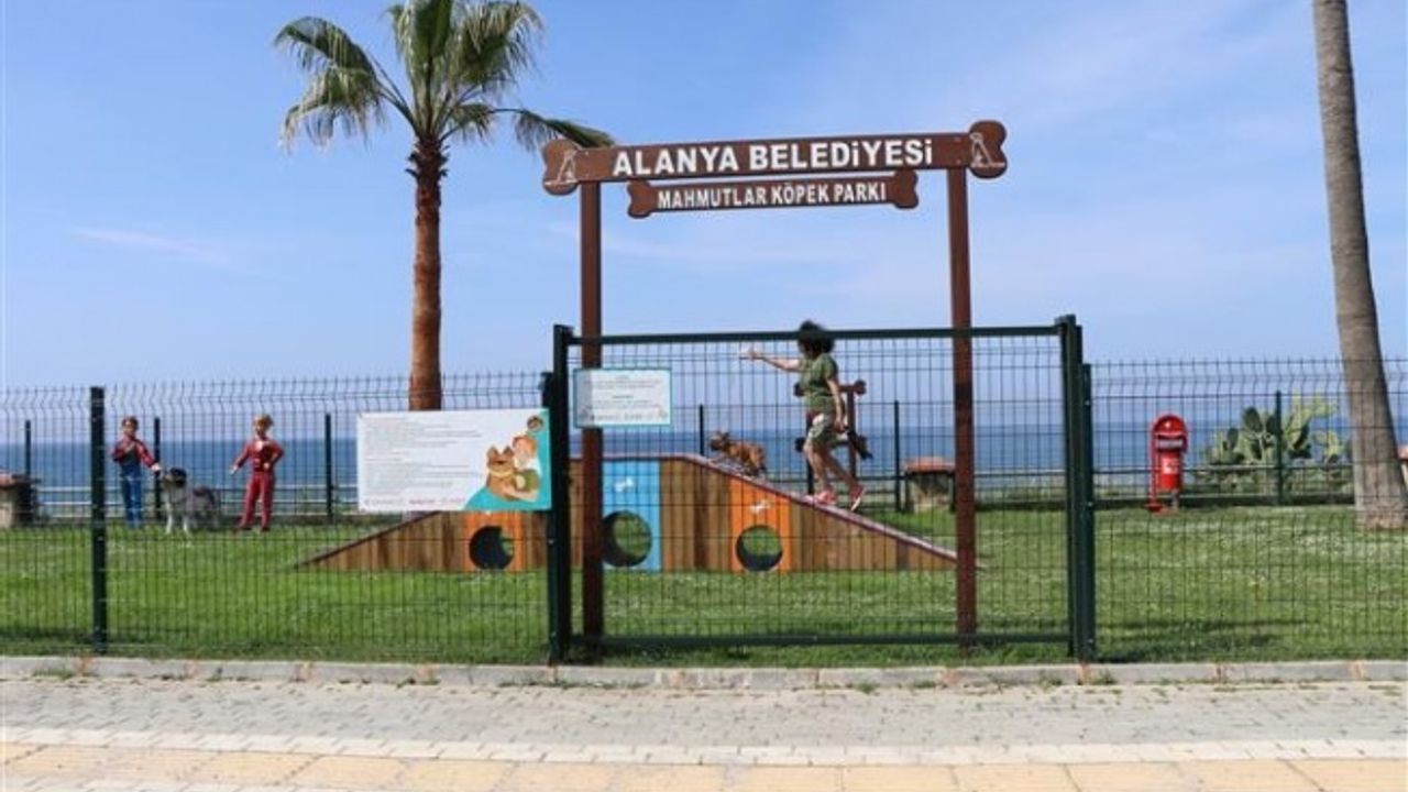 ALANYA BELEDİYESİ’NDEN PATİLİ DOSTLARIMIZ İÇİN YENİ BİR PARK
