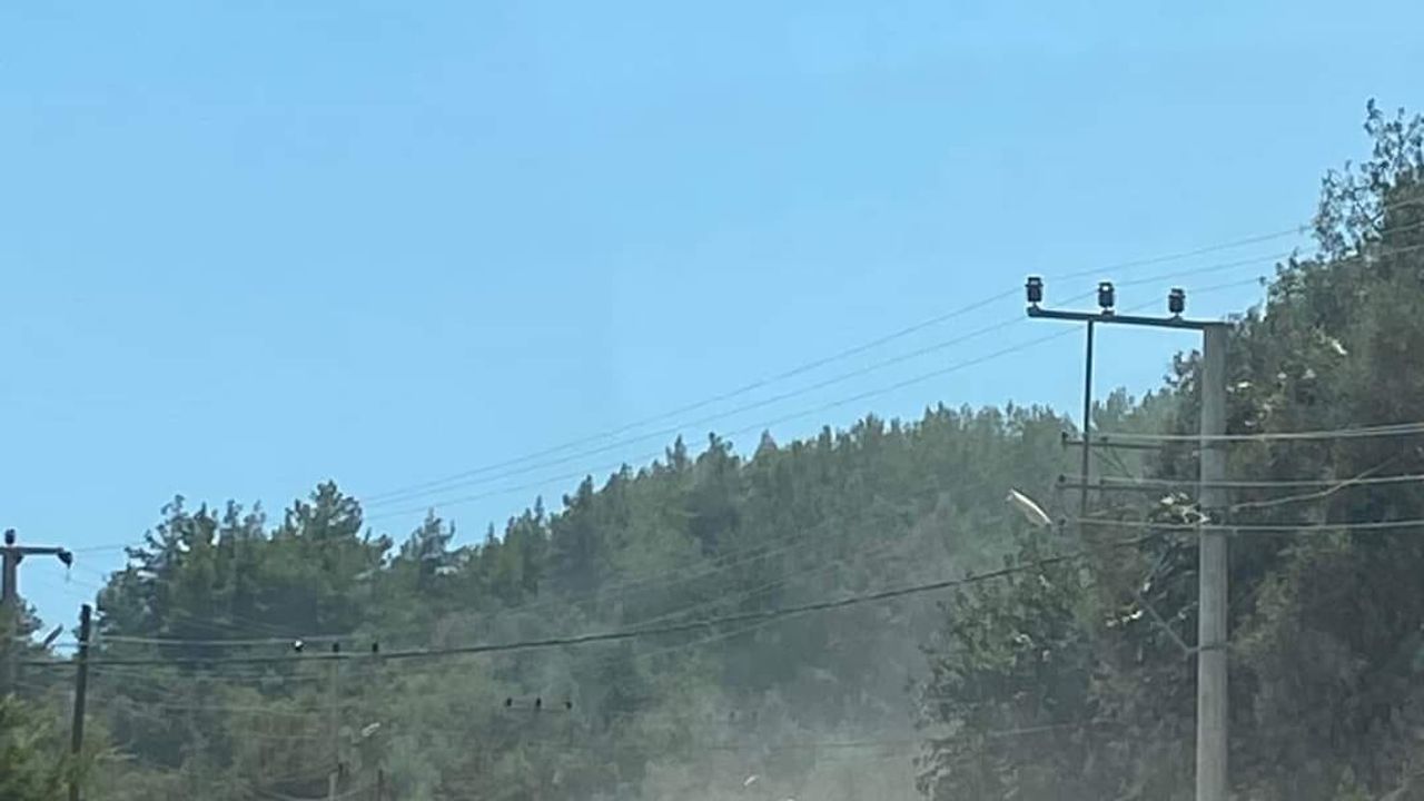 'Parayı muteahit kazanır, fırçayı Muhtar yer'