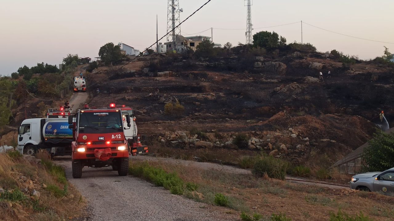 Alanya'nın Keşefli mahallesinde yaklaşık 15 dönüm ziraat ormanına sınırda yangın çıktı