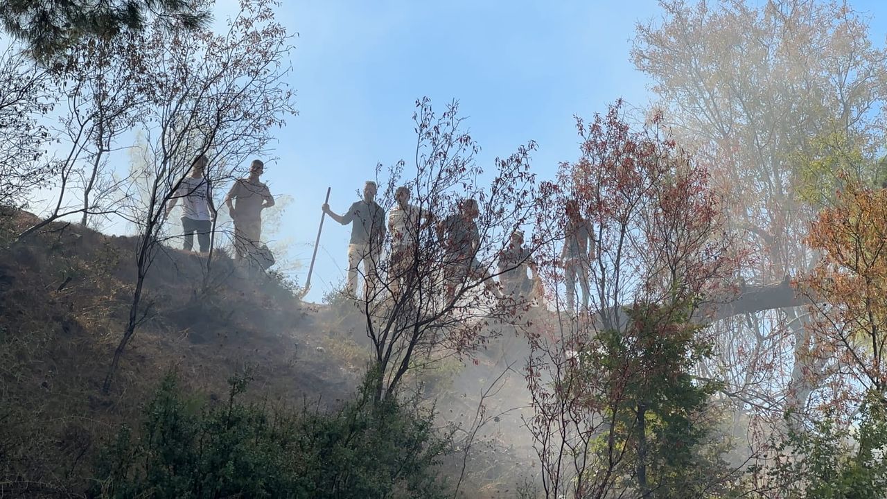 Yangında 230 hektar alan küle döndü