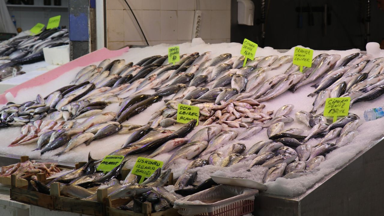 İşte Alanya'da balık fiyatları! Etten ucuz
