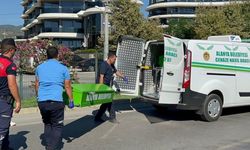 Alanya’da otobüsün çarptığı İrlandalı baba ve oğlu hayatını kaybetti