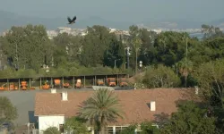 MİLLET BAHÇESİ UNUTULDU MU?