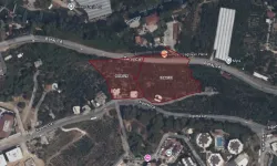 KESTEL'DE İKİ TAŞINMAZ SATILACAK