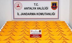 ALANYA'DA UYUŞTURUCU OPERASYONU
