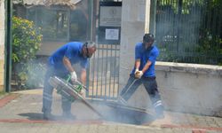 BÜYÜKŞEHİR BELEDİYESİ, ALANYA'DA SİNEK TİMİ KURDU