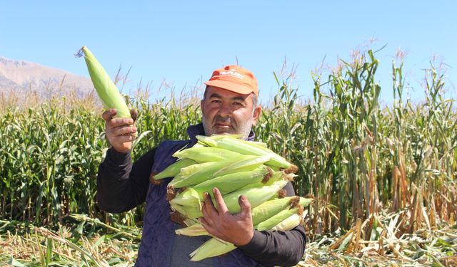 BÜYÜKŞEHİR BELEDİYESİ ÜRETİCİNİN YANINDA