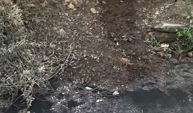 MAHMUTLAR'DA DENİZE PİS SU AKIYOR