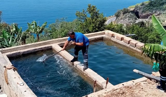 BÜYÜKŞEHİR BELEDİYESİ, SİVRİSİNEKSİZ SEZON İÇİN ÇALIŞIYOR