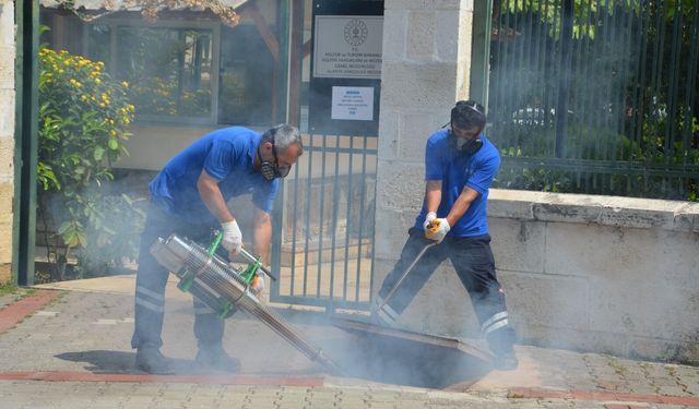 BÜYÜKŞEHİR BELEDİYESİ, ALANYA'DA SİNEK TİMİ KURDU