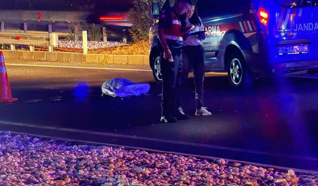 DEMİRTAŞ'TA KAZADA YAYA ÖLDÜ SÜRÜCÜ GÖZALTINDA