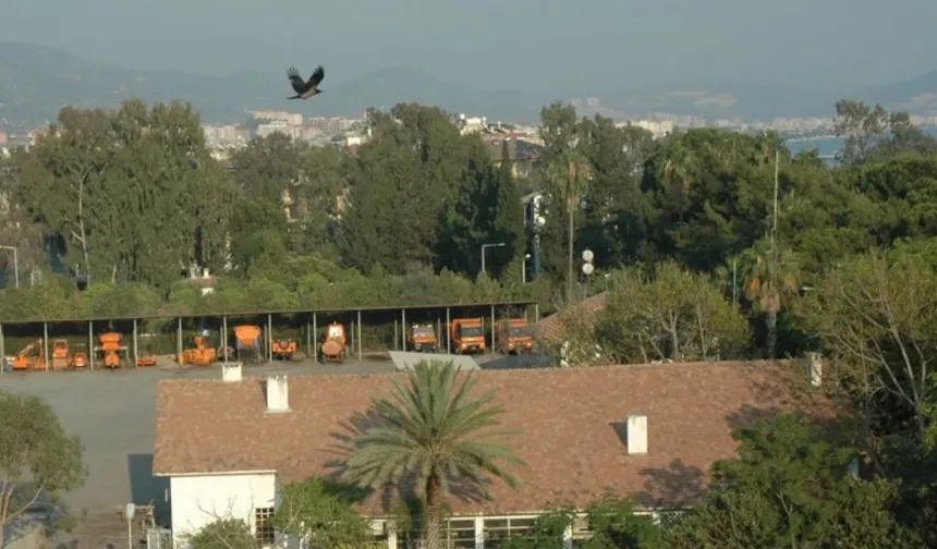 MİLLET BAHÇESİ UNUTULDU MU?